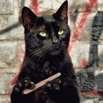 Аватара пользователя