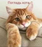 Аватара пользователя