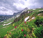 Аватара пользователя